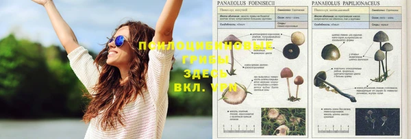 ешки Козельск