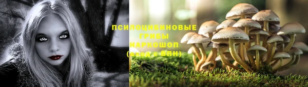 ешки Козельск