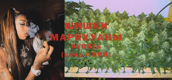 прущие крисы Кодинск