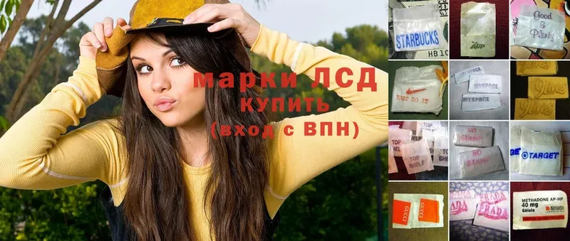 МЕГА онион  Димитровград  Лсд 25 экстази ecstasy 
