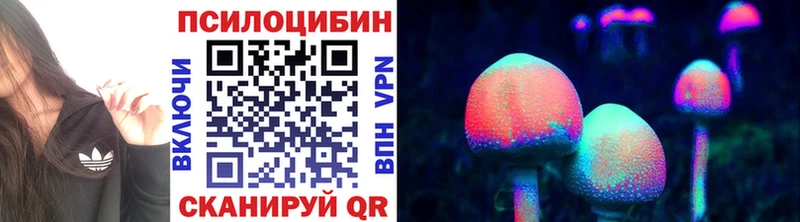 наркотики  Димитровград  Галлюциногенные грибы мухоморы 