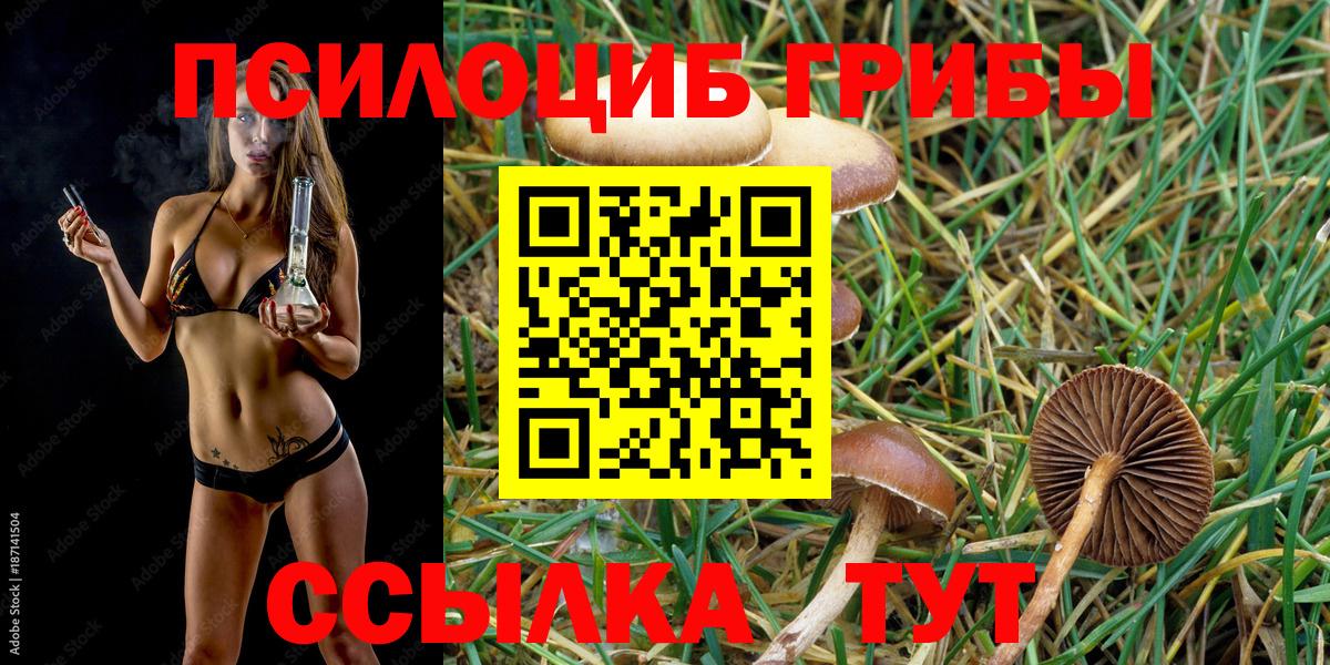 Галлюциногенные грибы Magic Shrooms Димитровград